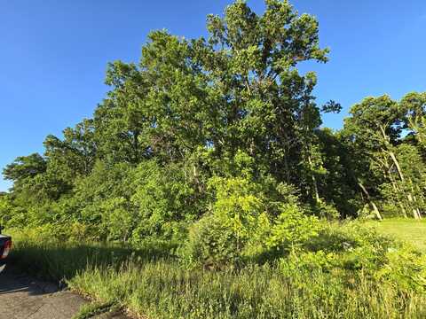 Lot 13 Embassy Road, Edwardsburg, MI 49112