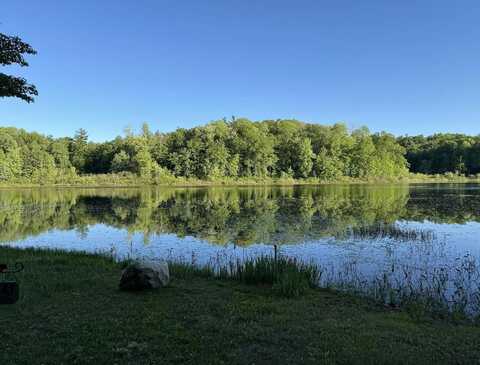 0 E 56th, Newaygo, MI 49337