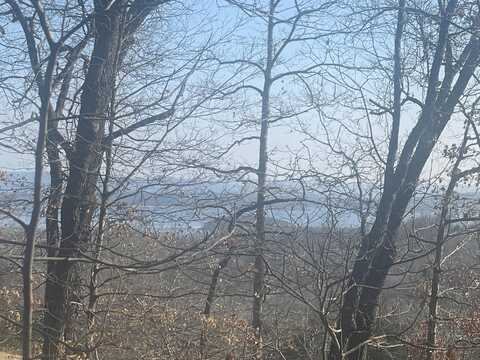 Lot 9 Little Mountain Estates, Branson West, MO 65737