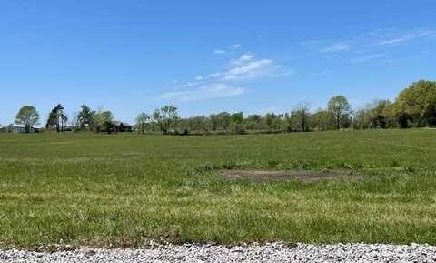 Tract 7 Eagles Roost Drive, Mountain Grove, MO 65711