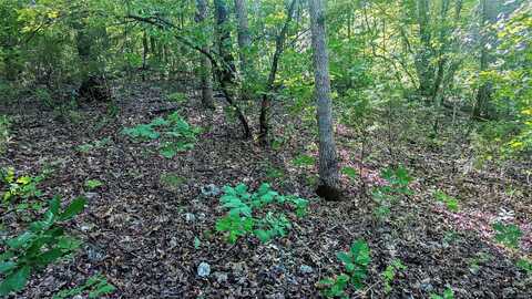 Lot 5 Silvercliff Way, Branson West, MO 65737