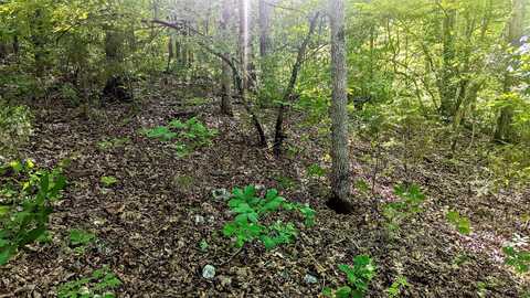 Lot 5 Silvercliff Way, Branson West, MO 65737