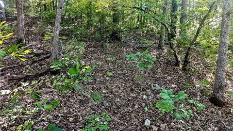Lot 5 Silvercliff Way, Branson West, MO 65737