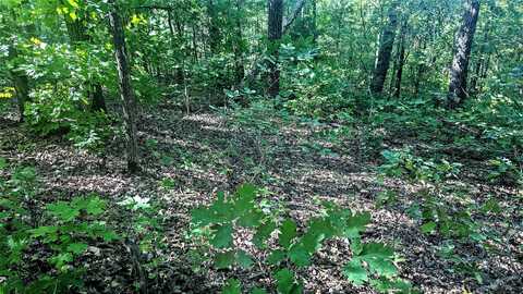 Lot 5 Silvercliff Way, Branson West, MO 65737