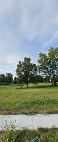 Lot 24 Highland Spring/Vintage Pointe, Springfield, MO 65809