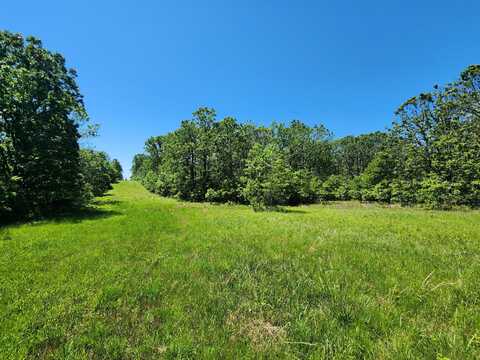 000 County Road 3330, Mountain View, MO 65548