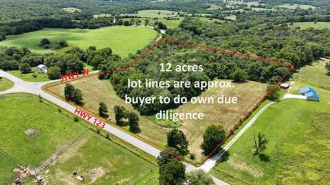 000 Highway 123 & Highway W, Walnut Grove, MO 65770