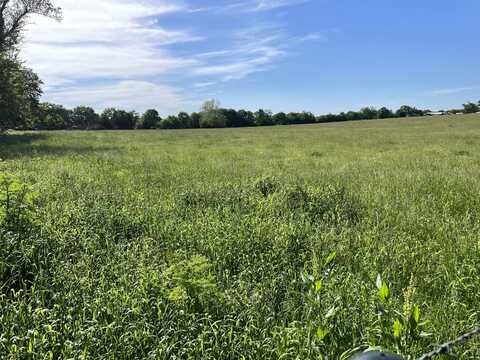 000 W Farm Rd 116, Bois D Arc, MO 65612