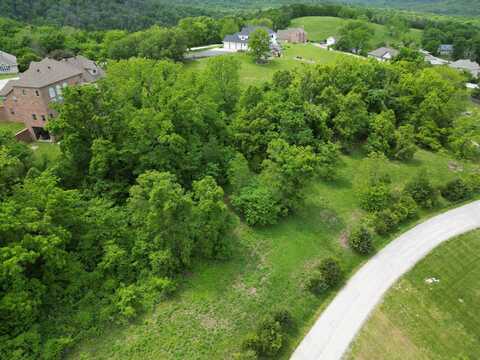 Tbd Jacks Hollow Road, Walnut Shade, MO 65771