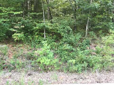 Lot 214 Bayview Drive, Hollister, MO 65672