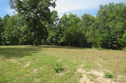 000 Tbd Old Jericho Road, Seymour, MO 65746