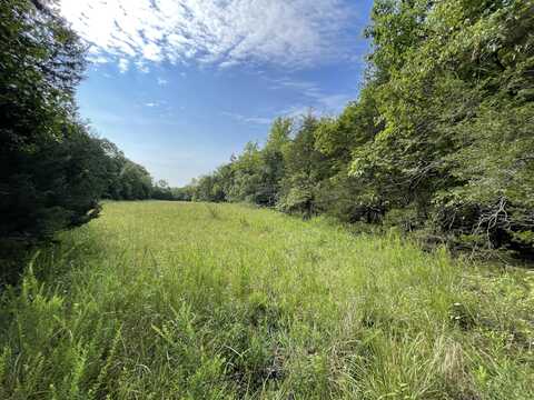 000 Panther Hollow Road, Mansfield, MO 65704