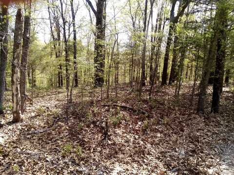 000 Serenity Ridge Road, Ozark, MO 65721