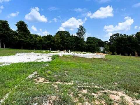 Lot 20 Oxford Street, Shell Knob, MO 65747