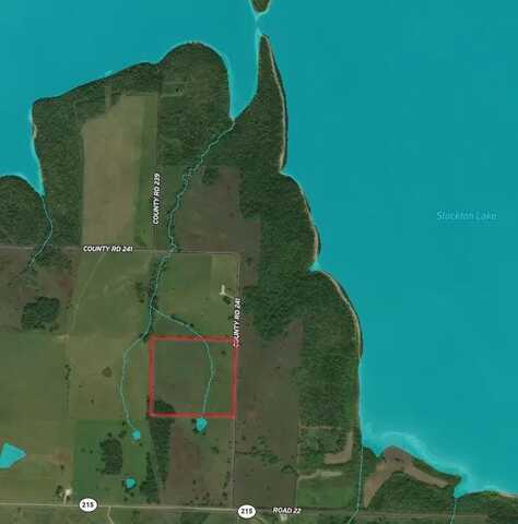 000 County Road 241 (Tract 5), Aldrich, MO 65601