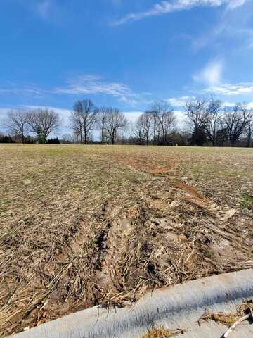 Lot 42 Vintage Pointe, Springfield, MO 65809