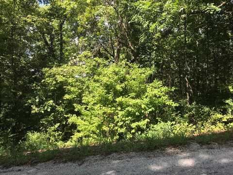 Lot 255 Sharay Circle, Hollister, MO 65672