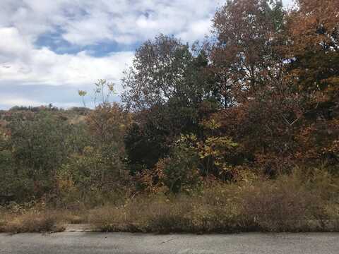 Lot 327 Emerald Isle Drive, Hollister, MO 65672