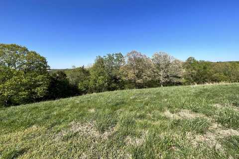 Lot 58 Eagle Crest, Hollister, MO 65672