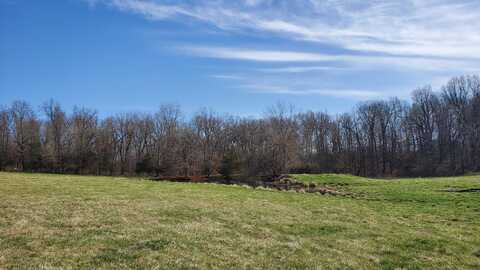 Lot 6 N Farm Road 61, Walnut Grove, MO 65770