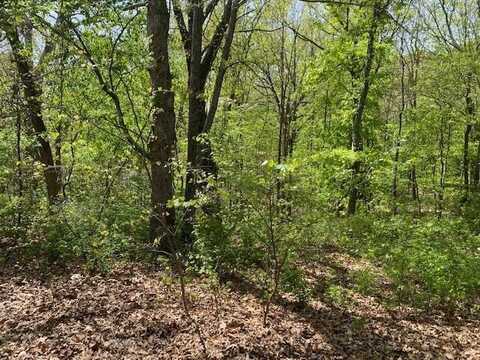0 E Woodlawn Circle, Rogersville, MO 65742