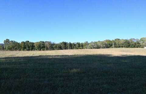 Lot 14 Stonehaven Way, Shell Knob, MO 65747