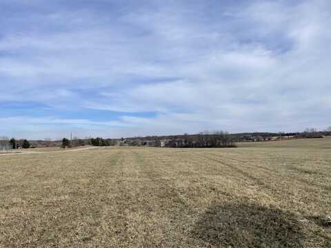 000 Lake Side Road, Rogersville, MO 65742