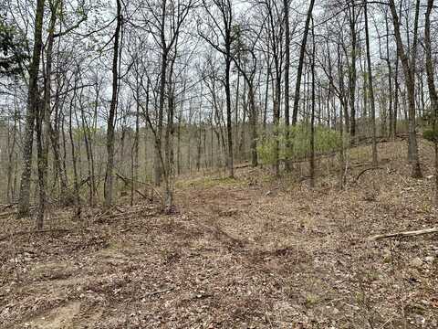 325 Skyline Ridge North Lot 5, Van Buren, MO 63965