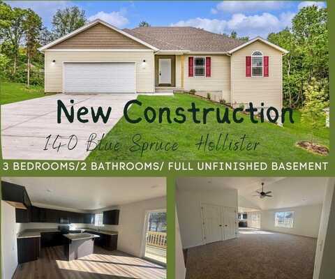 140 Blue Spruce Drive Drive, Hollister, MO 65673
