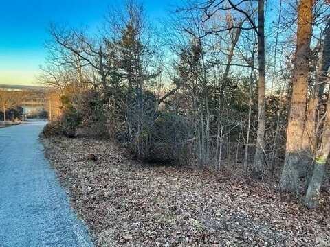 650 Lakeview Drive, Ridgedale, MO 65739