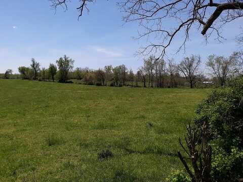 Tract 8 S Farm Rd 119, Battlefield, MO 65619