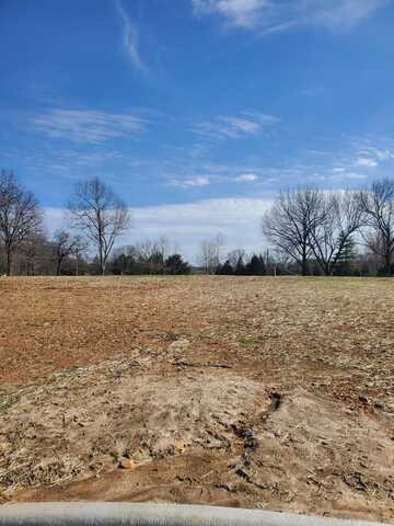 Lot 34 Vintage Pointe, Springfield, MO 65809