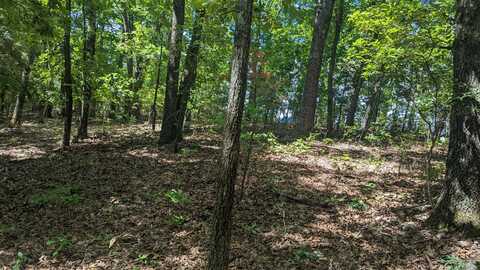 000 Lot # 94 Hwy 173, Cape Fair, MO 65624