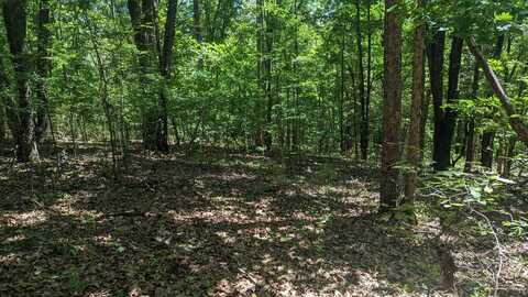 000 Lot # 94 Hwy 173, Cape Fair, MO 65624