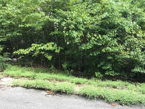 Lot 256 Skylee Drive, Hollister, MO 65672