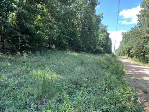 Lot 3 County Road 113, Alton, MO 65606