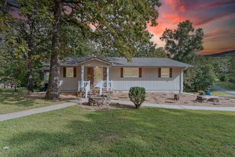 218 N Cedar Drive, Blue Eye, MO 65611