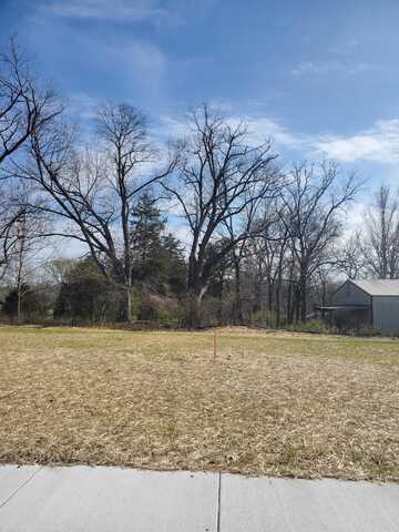 Lot 7 Vintage Pointe, Springfield, MO 65809