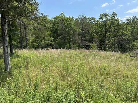 Lot 12 Tribute Falls, Cassville, MO 65625