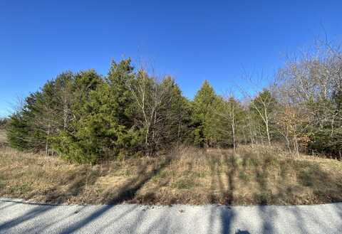 Lot 75 Cumberland Road, Shell Knob, MO 65747