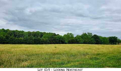 Lot 10 Pleasant View Rd, Brighton, MO 65617