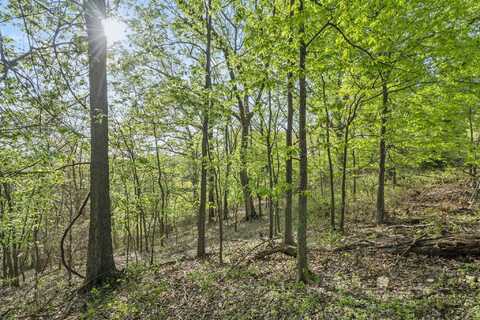 Lot 2 Cambridge Drive, Blue Eye, MO 65611