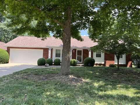 1441 E Downing Street, Springfield, MO 65804