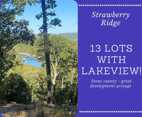 Lot 1-13 Cassie Drive/Strawberry Ridge, Lampe, MO 65681