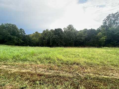 118 Panorama Drive, Cape Fair, MO 65624