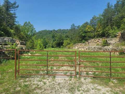 502 Shepherd Of The Hills, Branson, MO 65616