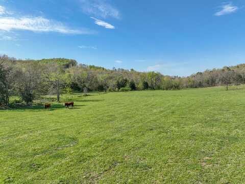 000 County Road 246, Drury, MO 65638