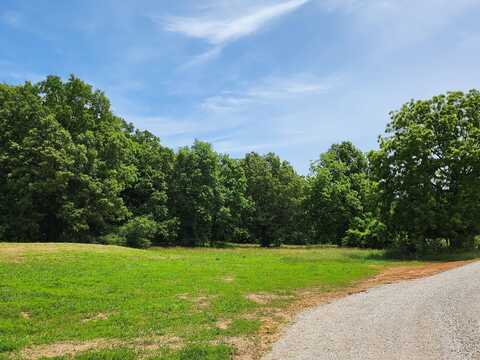 Lot 8 N Farm Road 61, Walnut Grove, MO 65770