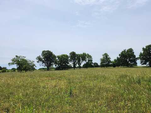 Lot 11 N Farm Road 61, Walnut Grove, MO 65770