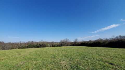 7259 W Musket Ridge Road, Republic, MO 65738